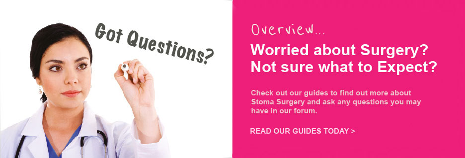 Css Template Preview